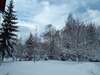Гостевой дом Pensiunea Alpin Бран-1