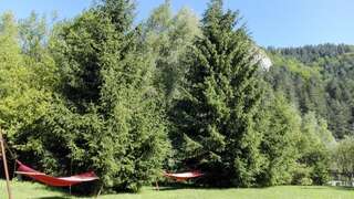 Гостевой дом Pensiunea Alpin Бран-0